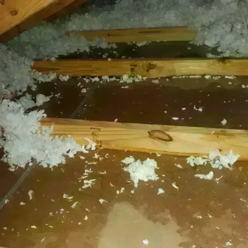 Attic Water Damage in Benbrook, TX